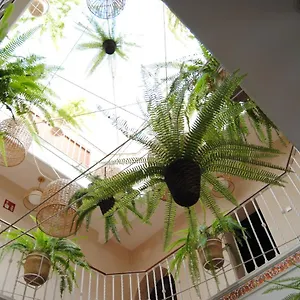  Casa de hóspedes Córdoba Espanha