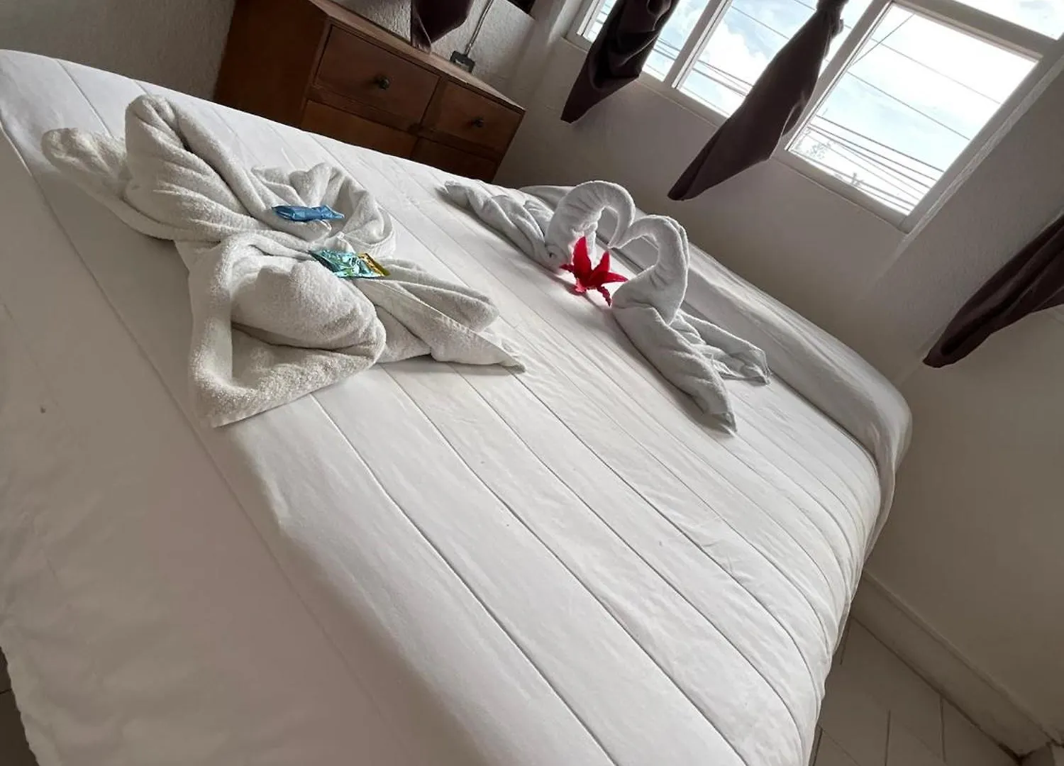 Hotel Bello Caribe Cozumel 3*,